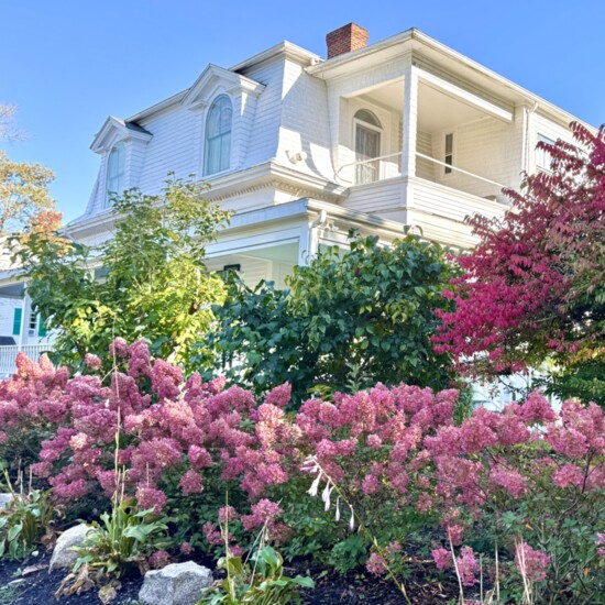 Summer "cottages" built by the wealthy during the Gilded Age line the street of Bar Harbor.