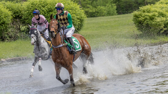 Photo by Eleszabeth McNeel