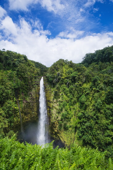 Akaka Falls State Park Big Island, Hawaii 