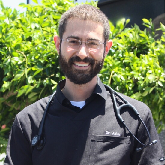 Dr. Brian Adler