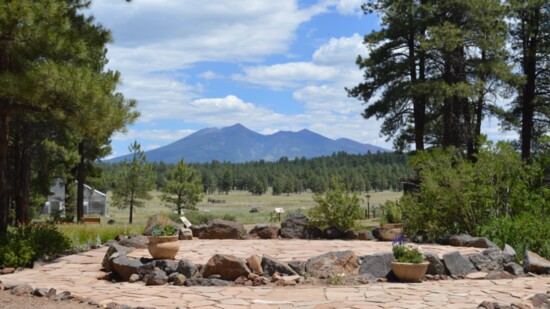 Flagstaff arboretum