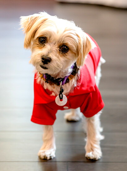 Betty, Photo by Allyson Lipari