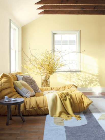 Benjamin-Moore ACCENT WALL: Pale Moon OC-108, Eggshell LEFT WALL & CEILING: Collector’s Item AF-45, Matte TRIM: Morning Dew OC-140, Semi-Gloss 