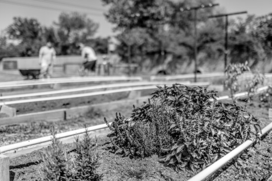 A multi-purpose garden built by donors doubles as a mindfulness activity and provides residents with produce for their own use. 