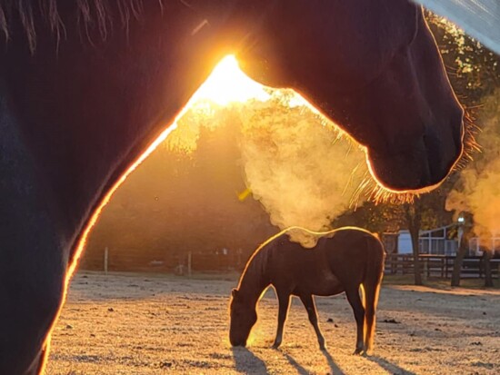 Equine-Assisted Therapy supporters change lives "one hoof print at a time."