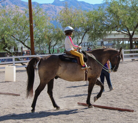 Athena, one of the summer camp kiddos, expertly handles her horse over an obstacle course of poles.