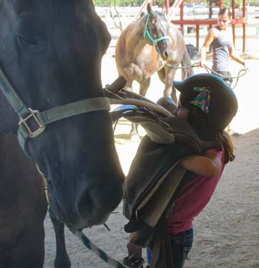 Isadora works hard to take Hollywood’s saddle off after a fun day of horseback riding.