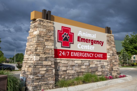 Tulsa Animal Emergency Center is centrally located in Tulsa. Photo: Michael McRuiz