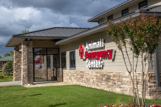 Tulsa Animal Emergency Center is centrally located in Tulsa. Photo: Michael McRuiz