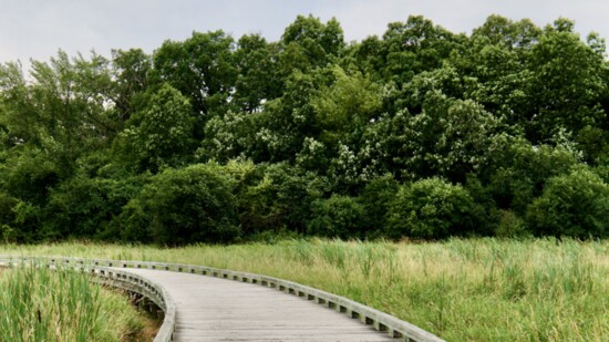 West of the new parcel, the Cuba Marsh Preserve has major public access attributes including a lengthy boardwalk used by bikers, hikers & skiers all year long.