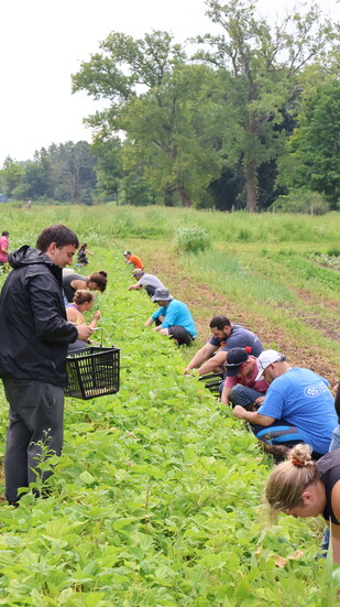 CNB at Homesteads for Hope