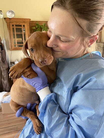 Kalea Remy, Nexus Pets population coordinator, hugs an adorable rescue puppy.
