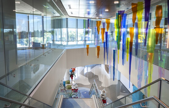 Image courtesy of Texas Children's Hospital.