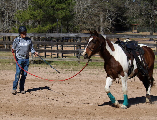 A trainer works with Scout