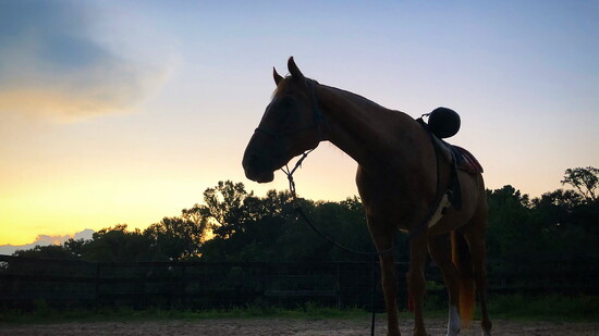 Cisco at the end of the day.