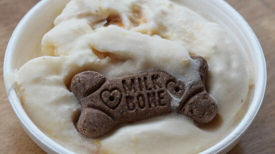 Pup Cup!