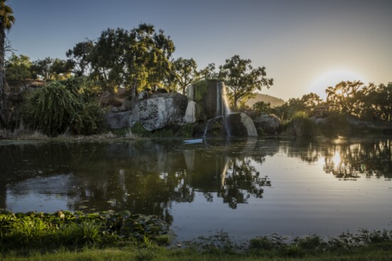 The tranquil lake at Native Falls Campground, complete with a picturesque waterfall, is perfect for catch-and-release fishing!