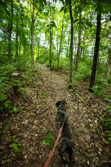 Cosmo Park Trail