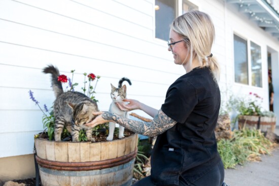 Amanda with feline favorites Sarge and Captain. 