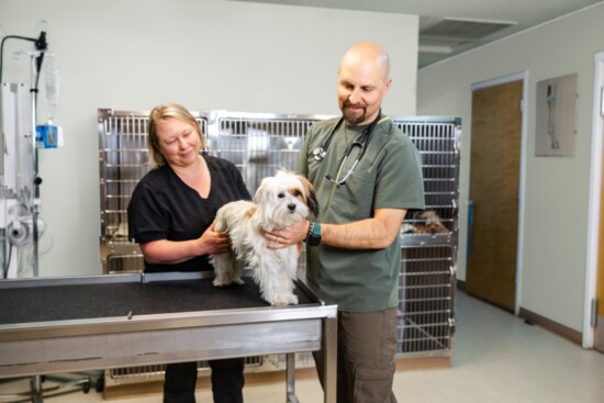 Hospital Manager Amber (l) assisting Dr. Post with exam for Kittle. Amber is the longest tenured employee at High Desert Veterinary. 