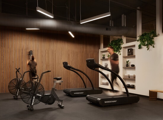 State-of-the-art cardio equipment includes Woodway treadmills and Rogue Echo Bikes