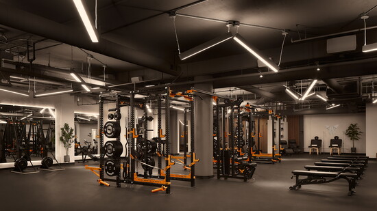 The main workout space features a dedicated area for weights