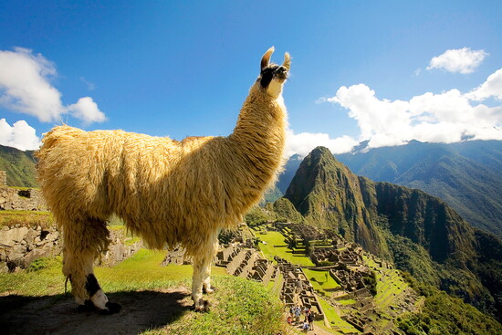 Courtesy Gihan Tubbeh/PROMPERÚ