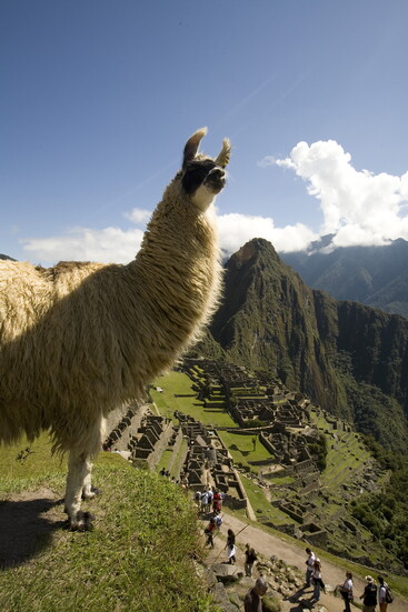 Courtesy Gihan Tubbeh/PROMPERÚ