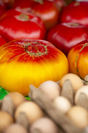 Sanchez Farms’ tomatoes are praised for their sweetness and delicate skins—better than anything in the store.