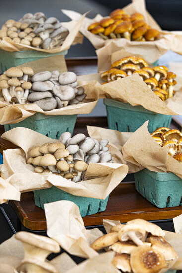 From shiitake to pink trumpets, Mythic Mushrooms offers a rainbow of flavors.