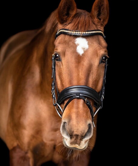 Crimson and Clover aka Chloe