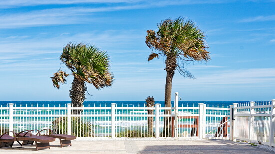 The view from the Garden Party Suite