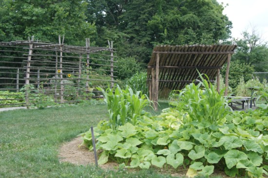 Fort Ancient Garden