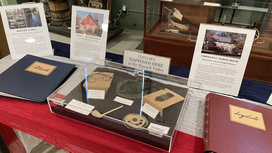 Patriots vs Loyalists Books