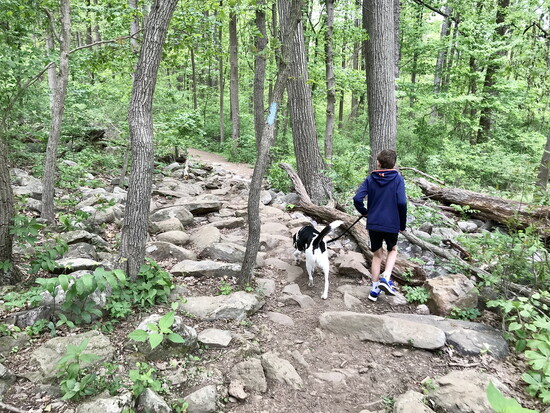 At less than 2 miles, the Bears Den trail can be a good introduction to hiking for children.