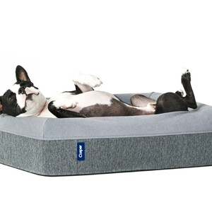 casper-dog-bed-300?v=2