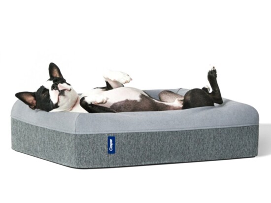 Casper Dog Bed