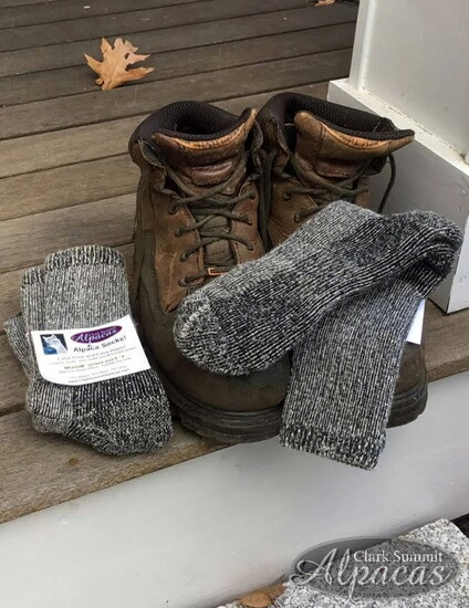 For him: All Terrain Alpaca Socks: