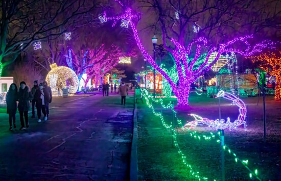 Wild Lights at Detroit Zoo