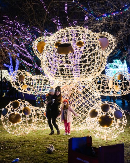 Wild Lights at Detroit Zoo