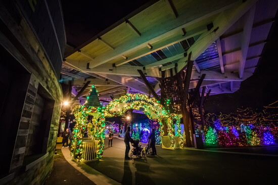 Christmas at the Zoo/ Photo courtesy of Visit Indy