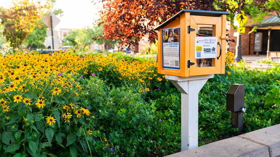 United Way Book Exchange Box on Main Street in Grand Junction