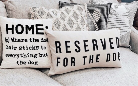 Definitely for dog lovers.