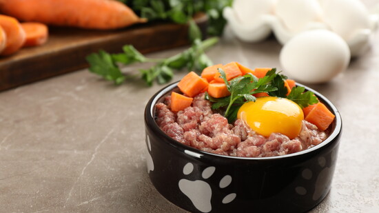 Eat the rainbow, pup! Way better than burnt kibble.