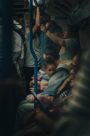 Sheltered in the Rush
