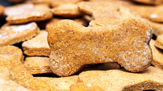 Homemade Treats for your Furry Friends