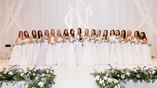 Cypress Yellow Rose, Photo Credit: Amelia Rose Photography 