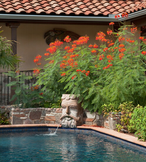  Mexican Influenced Home