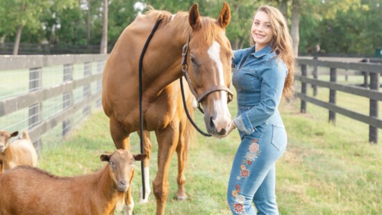 Aiken Dry Goods