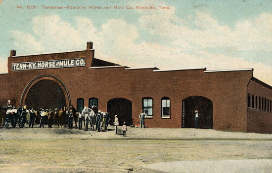 Historic post card of State Street Stable and Mule Barn (KHP)